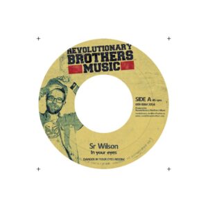 SR. WILSON / NICO ROYALE - In Your Eyes / Sing From My Heart - 7"